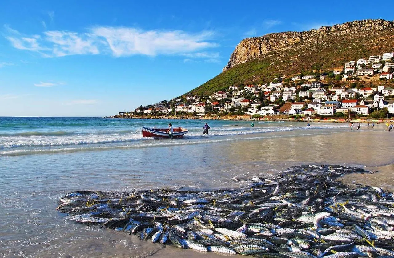 Sunny Cove Manor Bed and Breakfast Fish Hoek